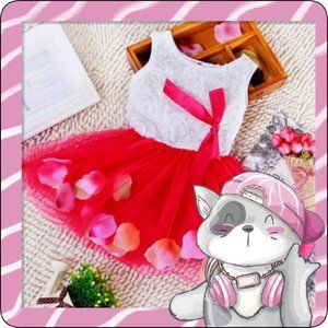 Brand New Toddler Dress